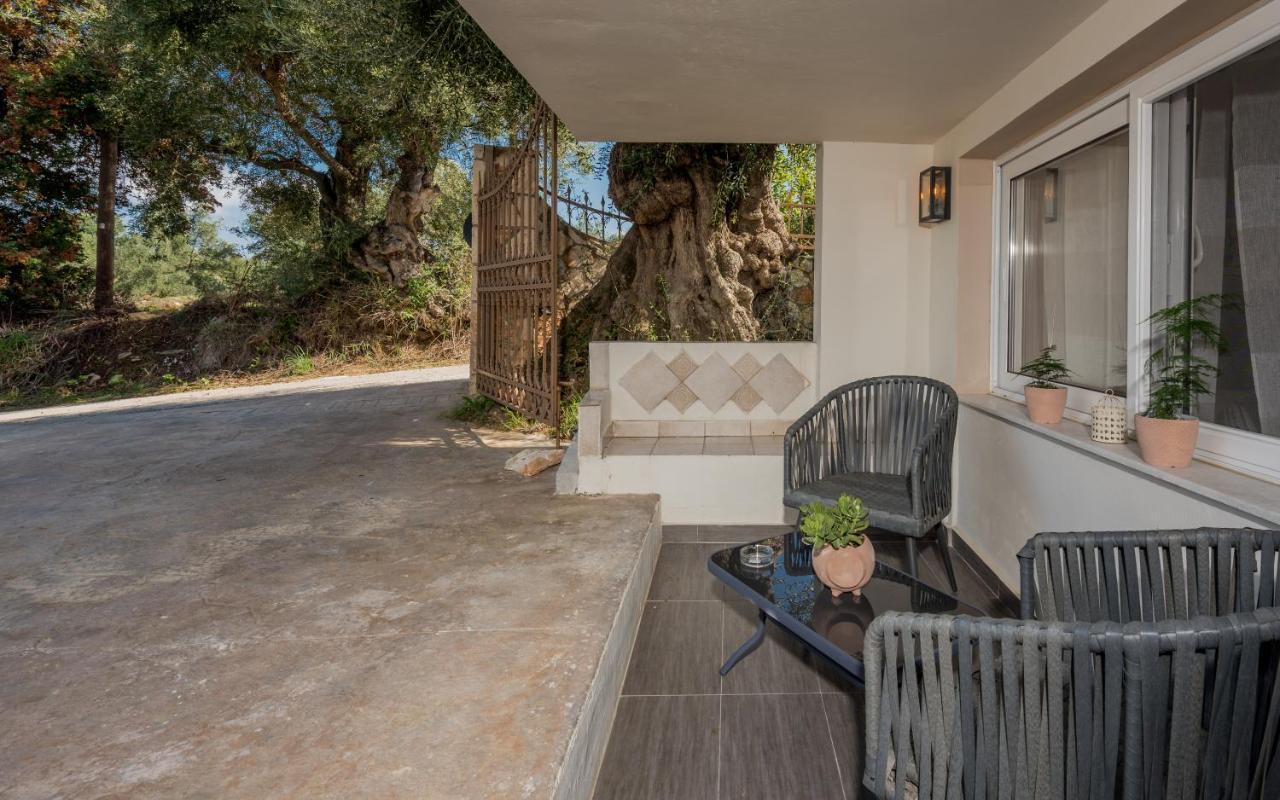 Asante Group Holiday Homes Tsilivi  Exteriér fotografie